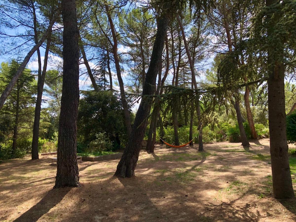 Chambres Dans Le Luberon - Bois Romay La Bastide-des-Jourdans Exterior photo